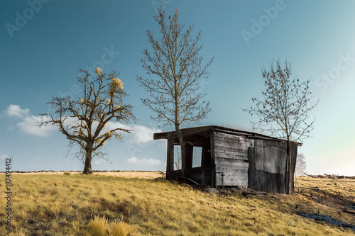 Une cabane abandonnée dans un champ, en infrarouge