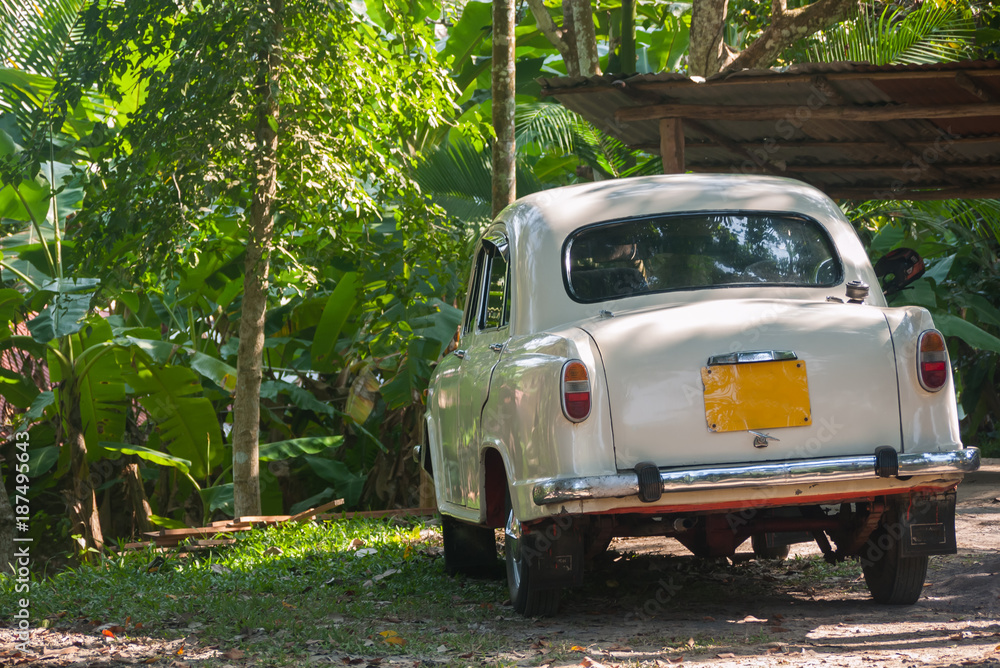 classic cab taxi in the jungle nature of an Indian island classic cab taxi in the jungle nature of an Indian island