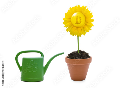 Coin im Topf