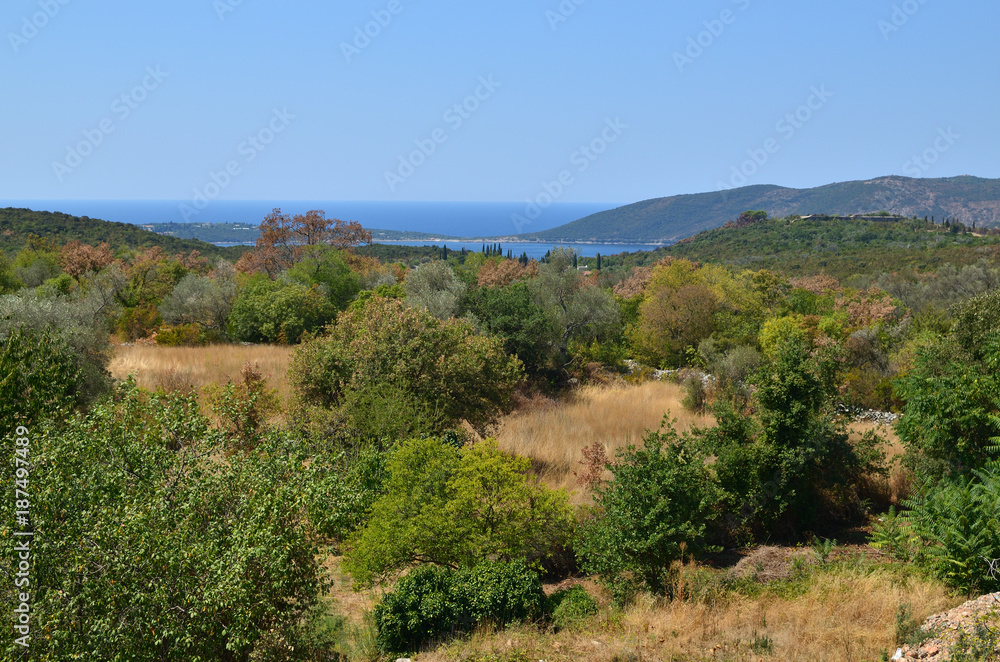 Panoramic landscape of green hills overgrown with lush trees and sea horizon Panoramic landscape of green hills overgrown with lush trees and sea horizon