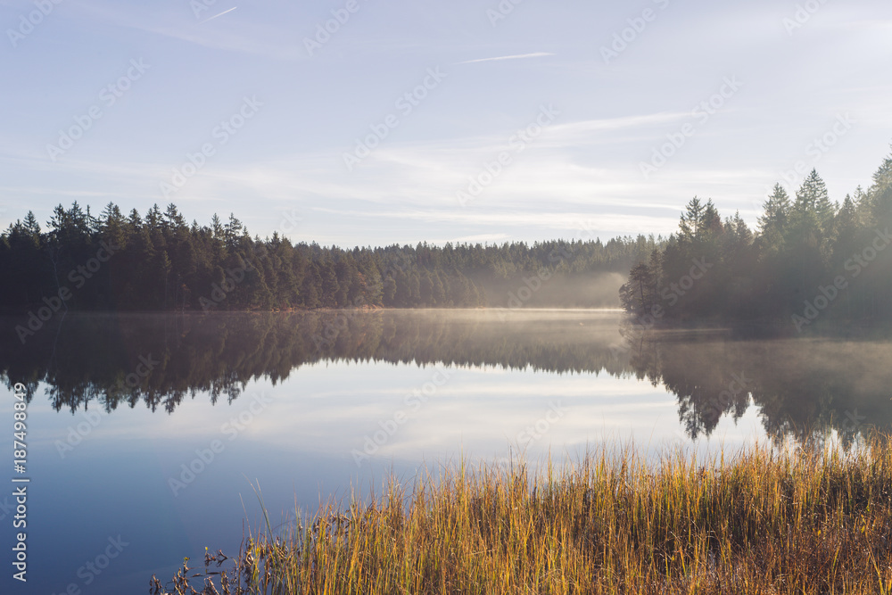 Etang de la Gruère, dans le Jura suisse