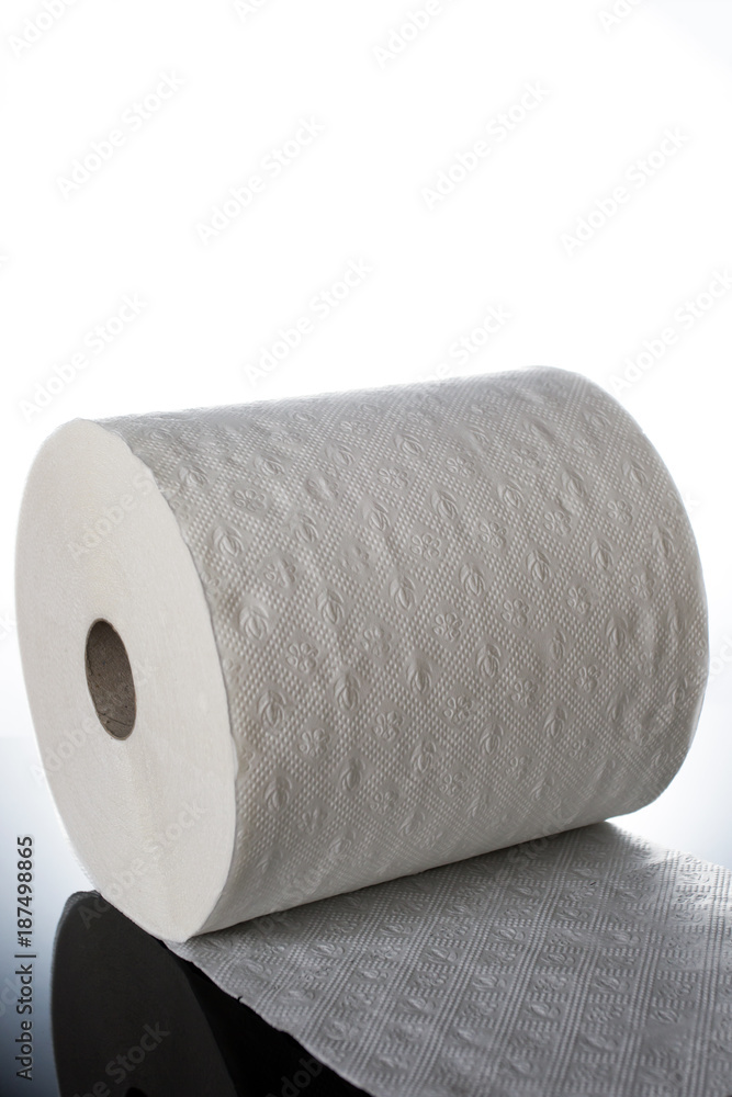 Fototapeta premium Toilet paper