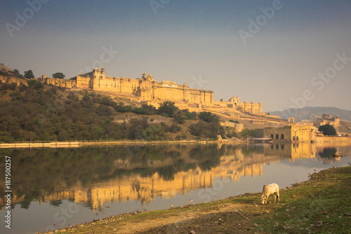 Amber Fort  Jaipur  Rajasthan  India.