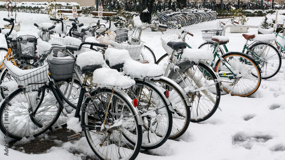 bikes covered in snow