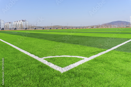 Football field green lawn
