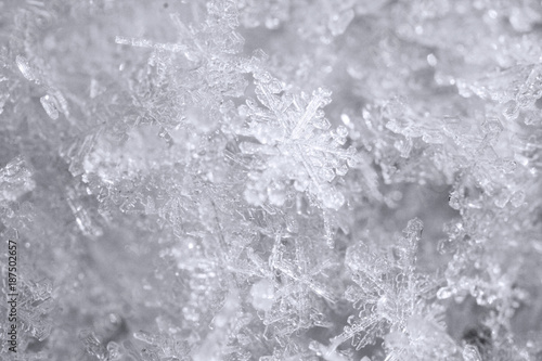 natural snowflakes, crystals