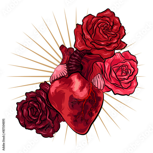 Human heart with red roses in tattoo style. Vector illustration