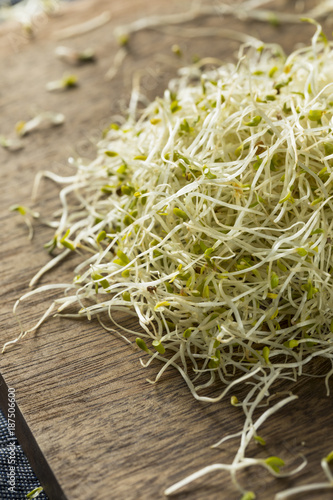 Raw Green Organic Alfalfa Sprouts