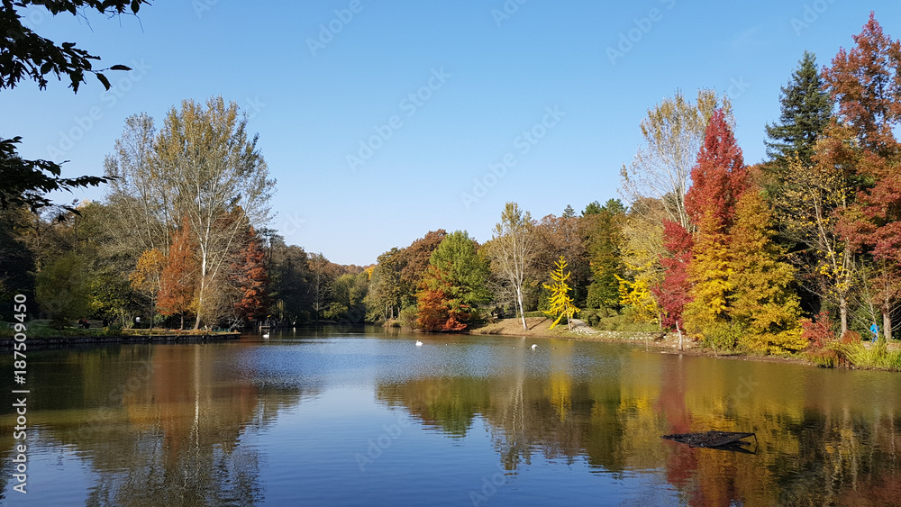 Ataturk Arboretum botanic park on Autumn, Istanbul Ataturk Arboretum botanic park on Autumn, Istanbul