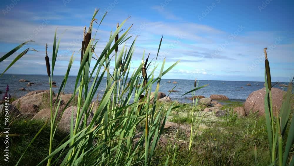 Panoramic view of the stony coast of the Gulf of Finland in sunny summer day Panoramic view of the stony coast of the Gulf of Finland in sunny summer day
