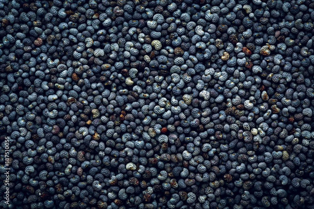 Poppy seeds macro Background Poppy seeds macro Background