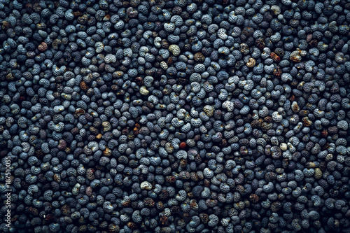 Poppy seeds macro Background