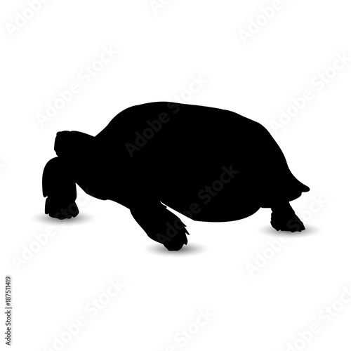 Silhouette of big turtle.