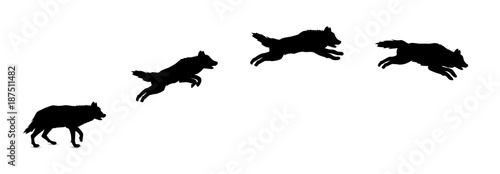 Silhouette of jumping wolf.