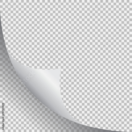 Page curl with shadow on blank sheet of paper.