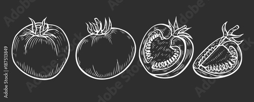 Tomato slice set vector.