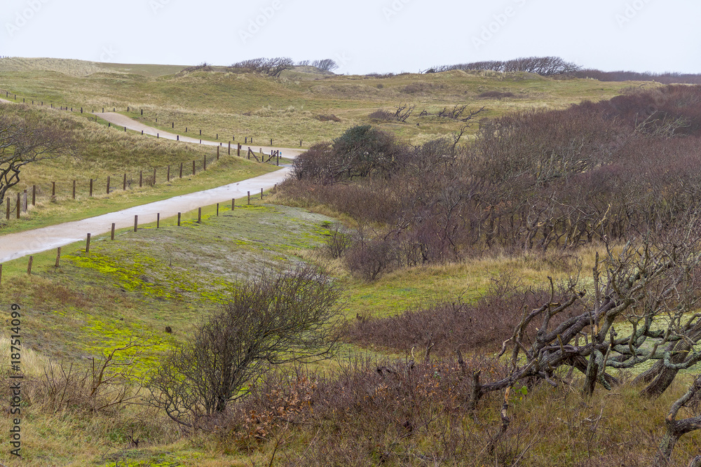 Naklejka premium coastal dune scenery
