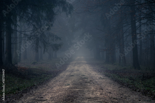 Foggy road in the dark, misty forest at late autumn. Background, illustration concept.