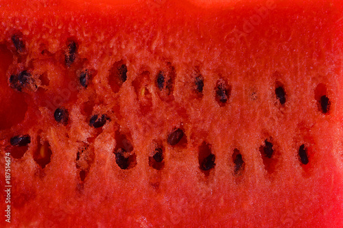 red water mellon photo