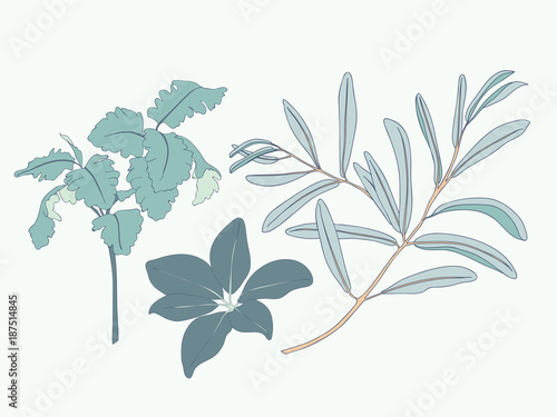 Leaf Element Vector Pack