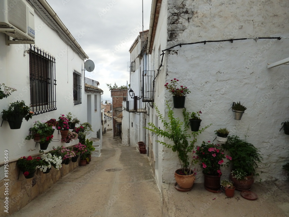 Fototapeta premium Golondrinas al vuelo en calle de Iznatoraf,pueblo historico de Jaén, Andalucía (España) junto a Villanueva del Arzobispo, en la comarca de las Villas.