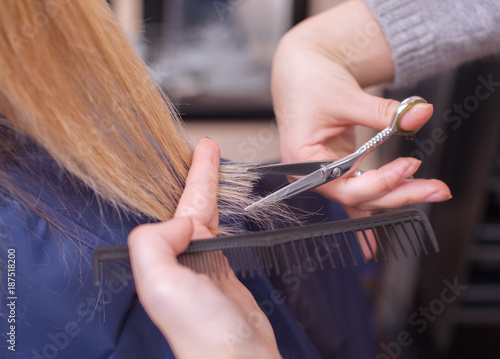 The hairdresser does a haircut with scissors of hair to a young girl, a blonde in a beauty salon.