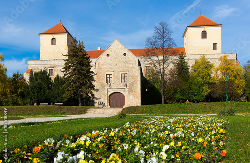 Varpalota Castle photo