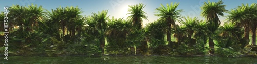 row of palms 