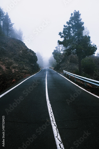 Beautiful road in the fog through rocks and treas