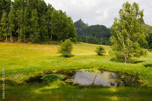 Fototapeta Naklejka Na Ścianę i Meble -  Summer landscape with forests, meadows, pond, rocks and sky
