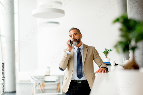 Handsome mature businessman...