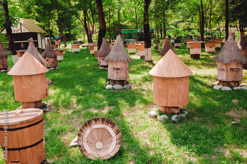 Beekeeping concept. Hives in an apiary with bees