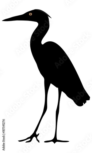 vector image of heron