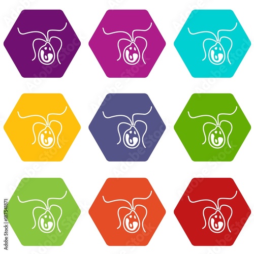 Bacterial cell icon set color hexahedron