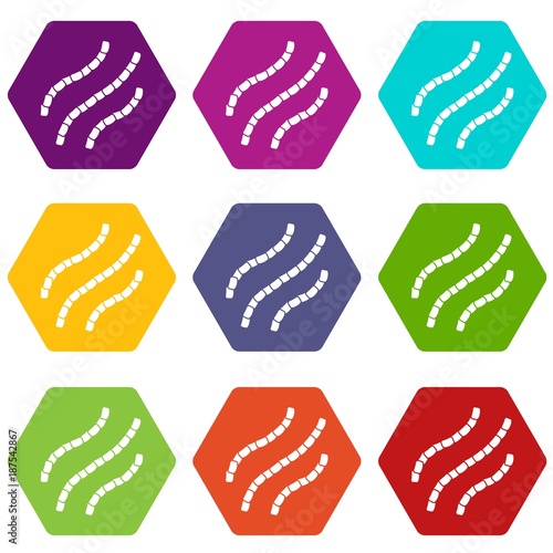 Escherichia coli icon set color hexahedron