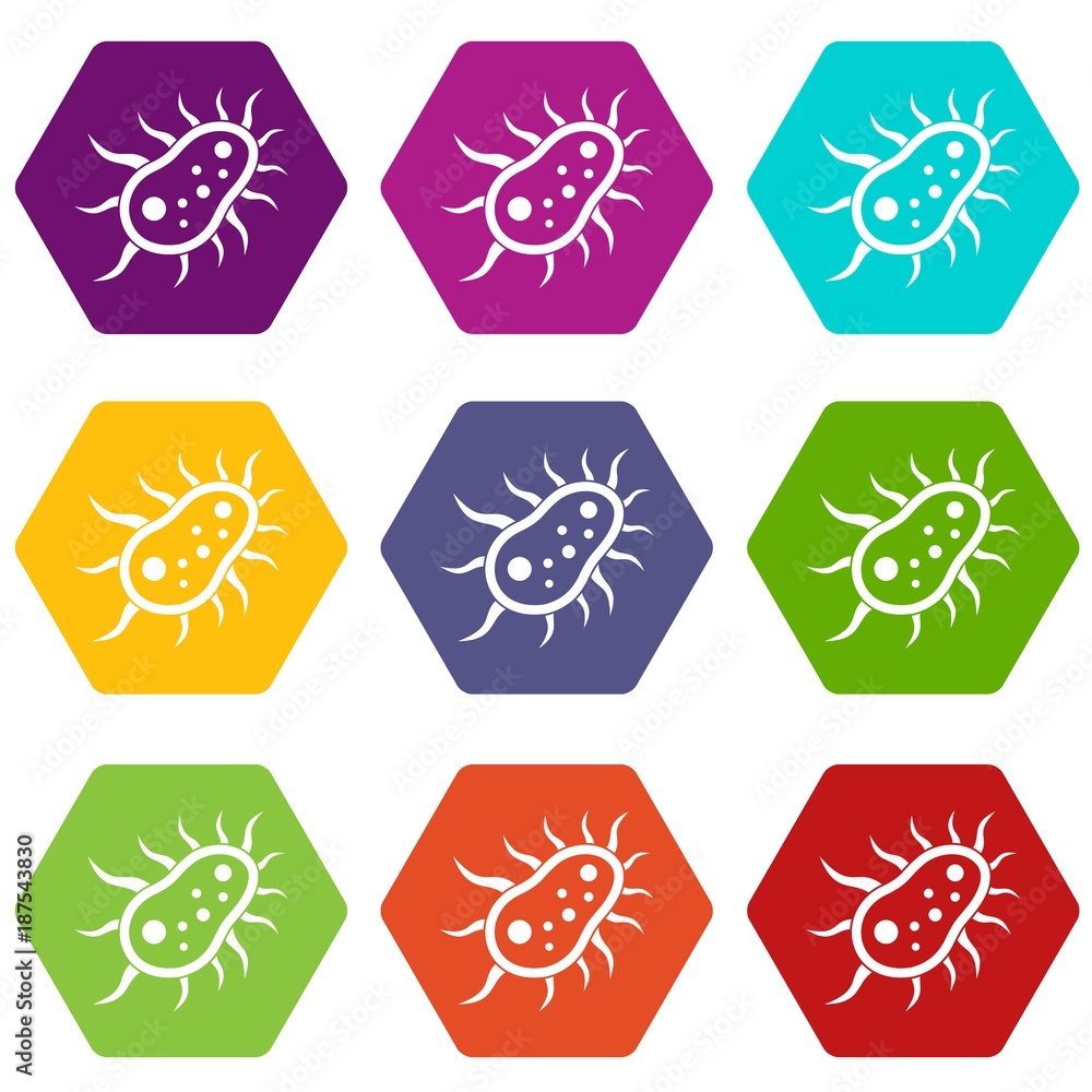 Bacteria centipede icon set color hexahedron