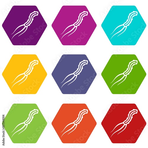Dangerous virus icon set color hexahedron