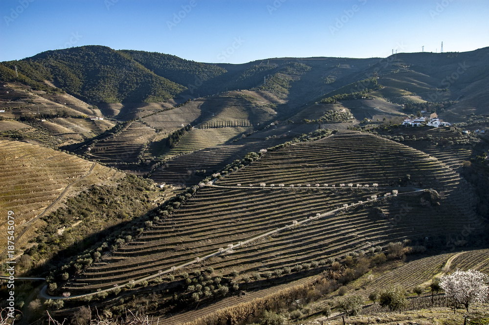 Vale do Douro