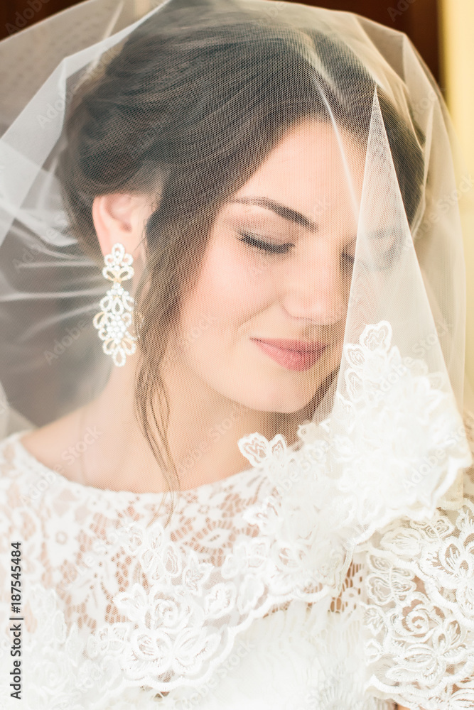 Portrait of a beautiful tender young bride with evening festive hair and gentle make-up in a snow-white dress at home Portrait of a beautiful tender young bride with evening festive hair and gentle make-up in a snow-white dress at home