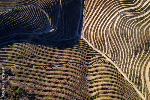Quadro em tela Aerial view of the vineyards in the hills of the douro valley; Concept for trave
