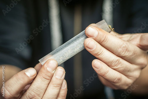 Preparing and rolling marijuana cannabis joint. Drugs narcotic concept