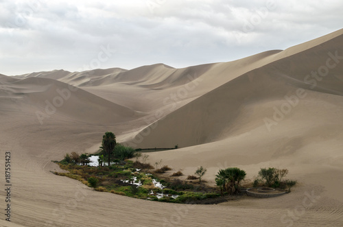 Oasis among sand dunes photo