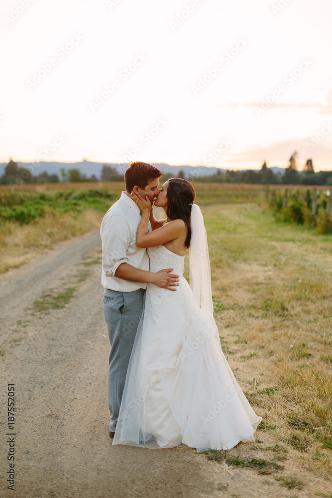 Newlywed couple kissing at outdoors Newlywed couple kissing at outdoors