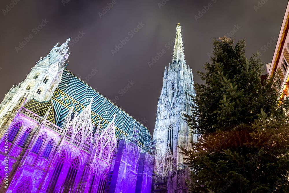 Obraz premium St. Stephen's Cathedral.in Vienna in Christmas time