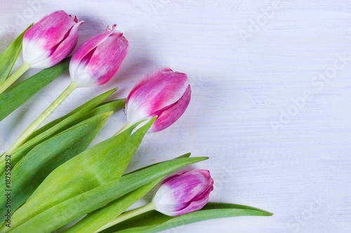 Fototapeta Naklejka Na Ścianę i Meble -  Pink tulips on white wooden background. Top view, copy space