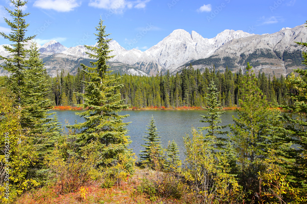 Scenic pond landscape in Alberta Canada