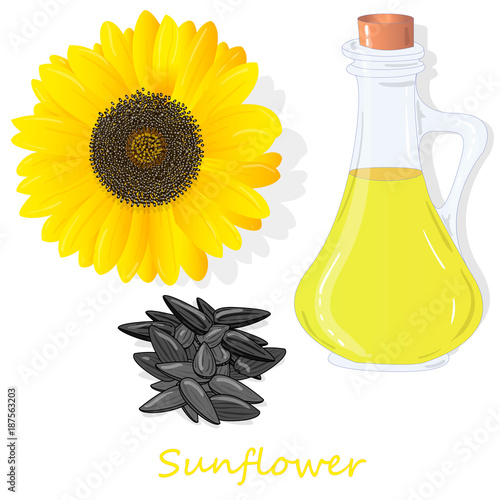 Sunflower oil bottle isolated on white illustration