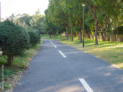 夢の島公園 photo