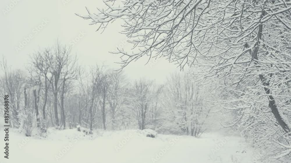 Winter landscape with falling snow. Everything is covered with fresh powder. Intense atmosphere like Nordic detectives. Winter background for Christmas theme. Static day shot. Winter landscape with falling snow. Everything is covered with fresh powder. Intense atmosphere like Nordic detectives. Winter background for Christmas theme. Static day shot.