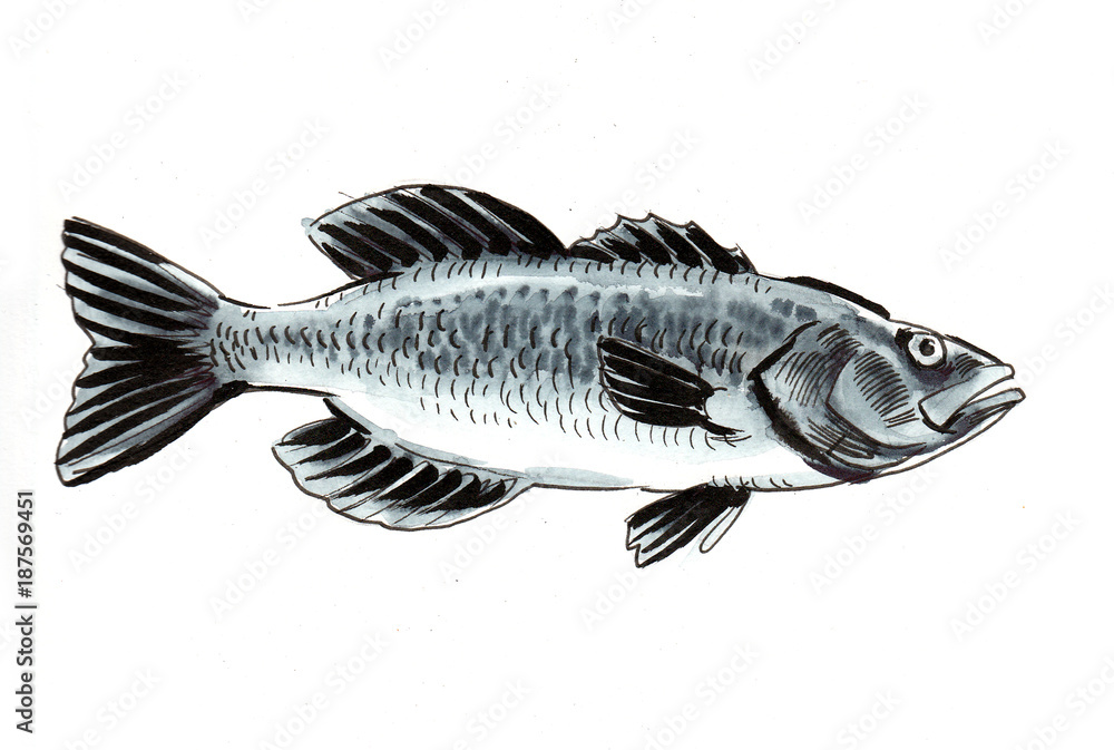 Watercolor sketch of a fish Watercolor sketch of a fish